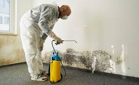 Best Environmental Consulting for Mold Prevention in Gruetli Laager, TN